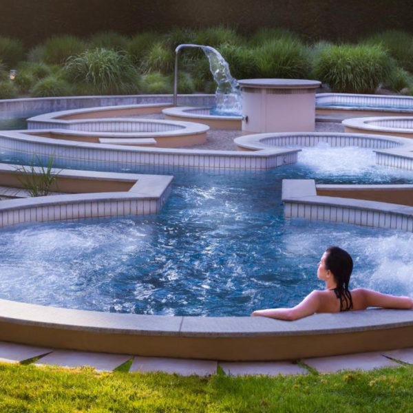 piscine exterieure hotel spa lyon metropole